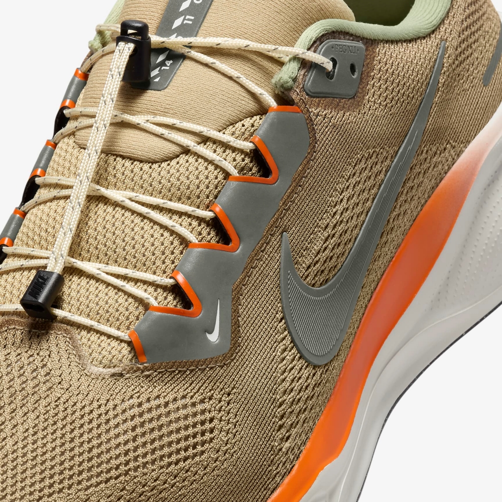 n_AIR+ZOOM+PEGASUS+41+PRM (6).jpg