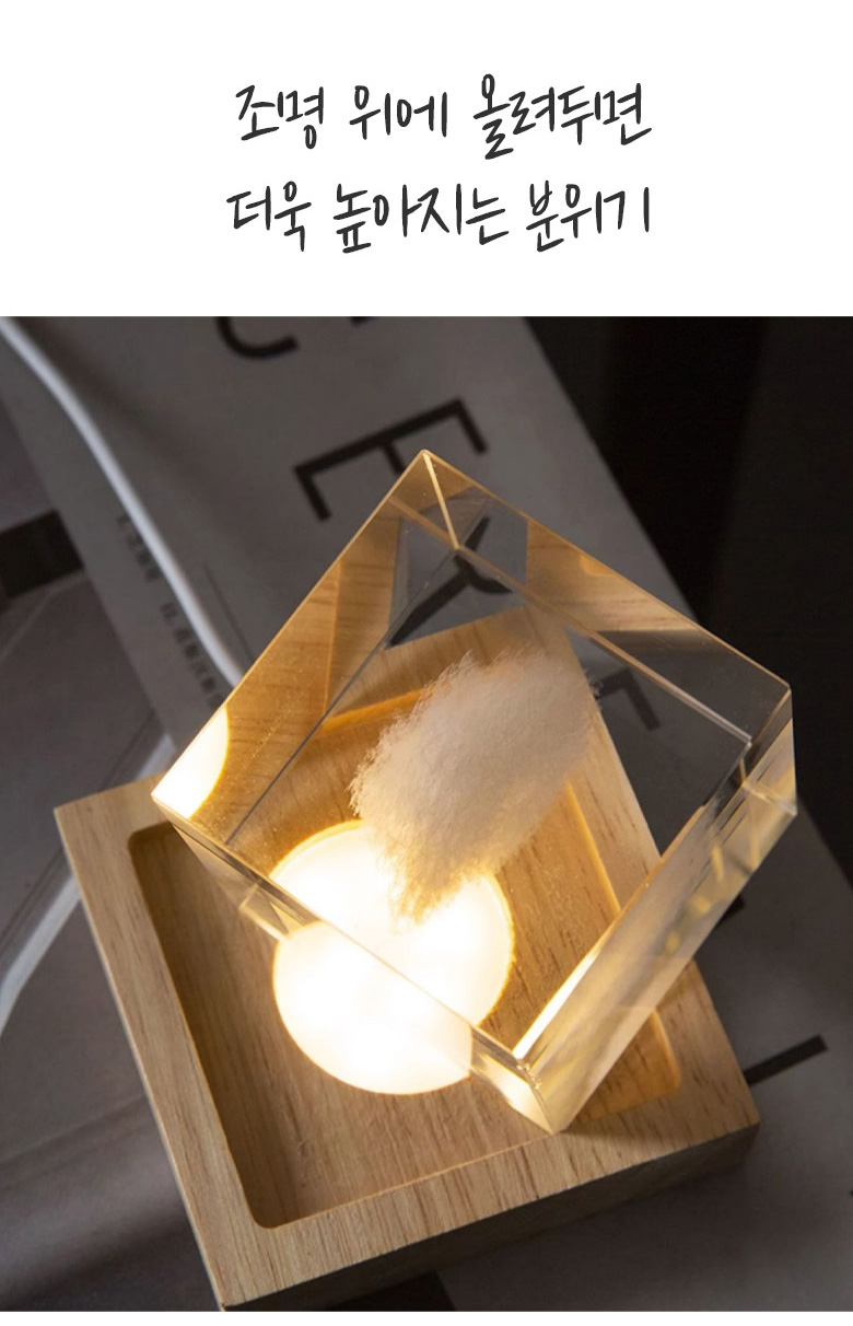 main_04.jpg