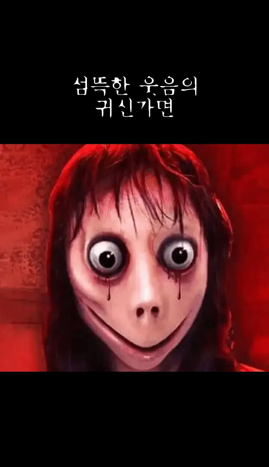 모모3.jpg