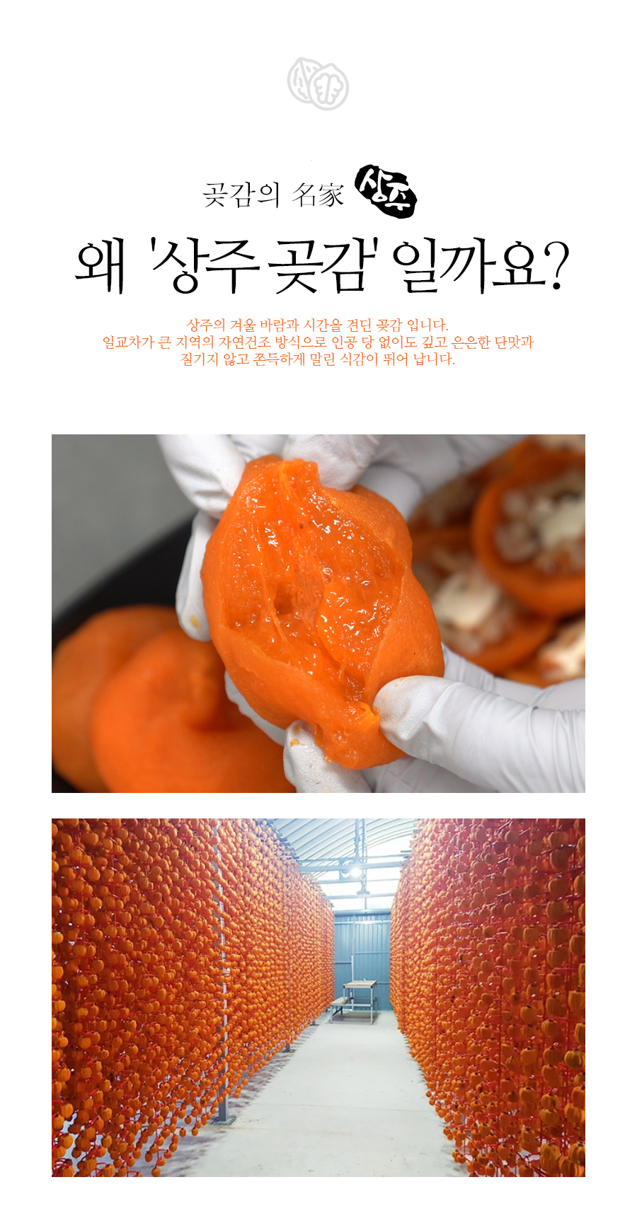 gotgamroll_no07_04.jpg