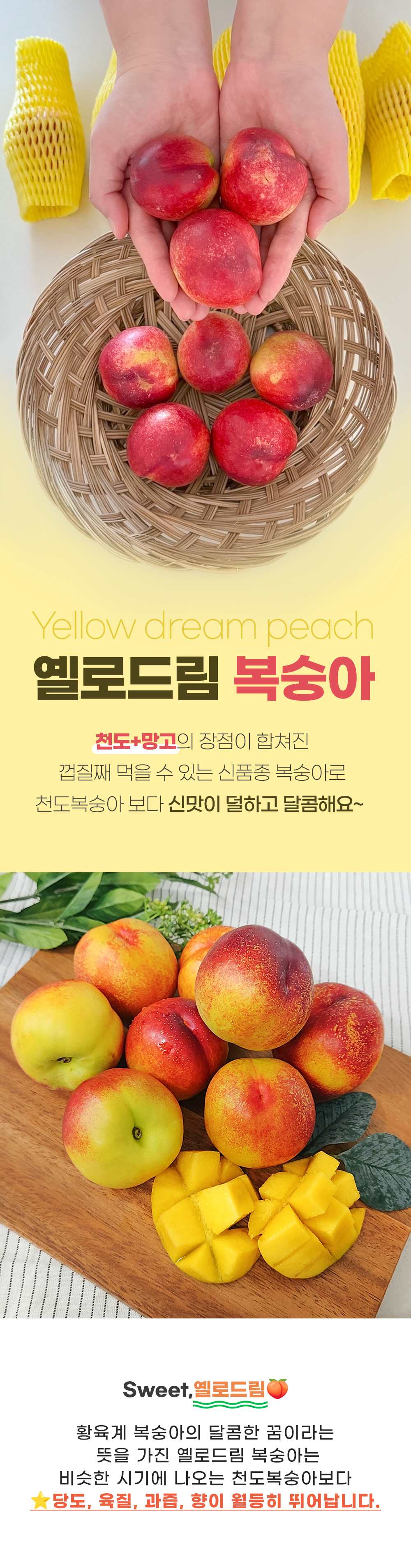 KakaoTalk_20260706_155948097.jpg