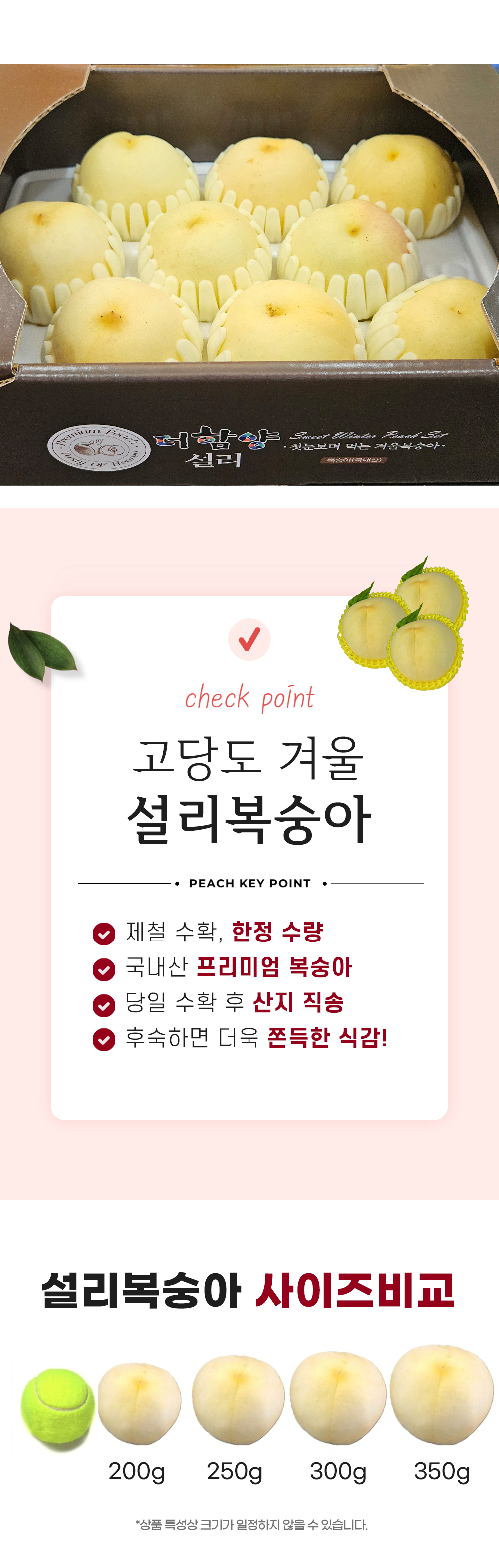 설리복숭아_04.jpg