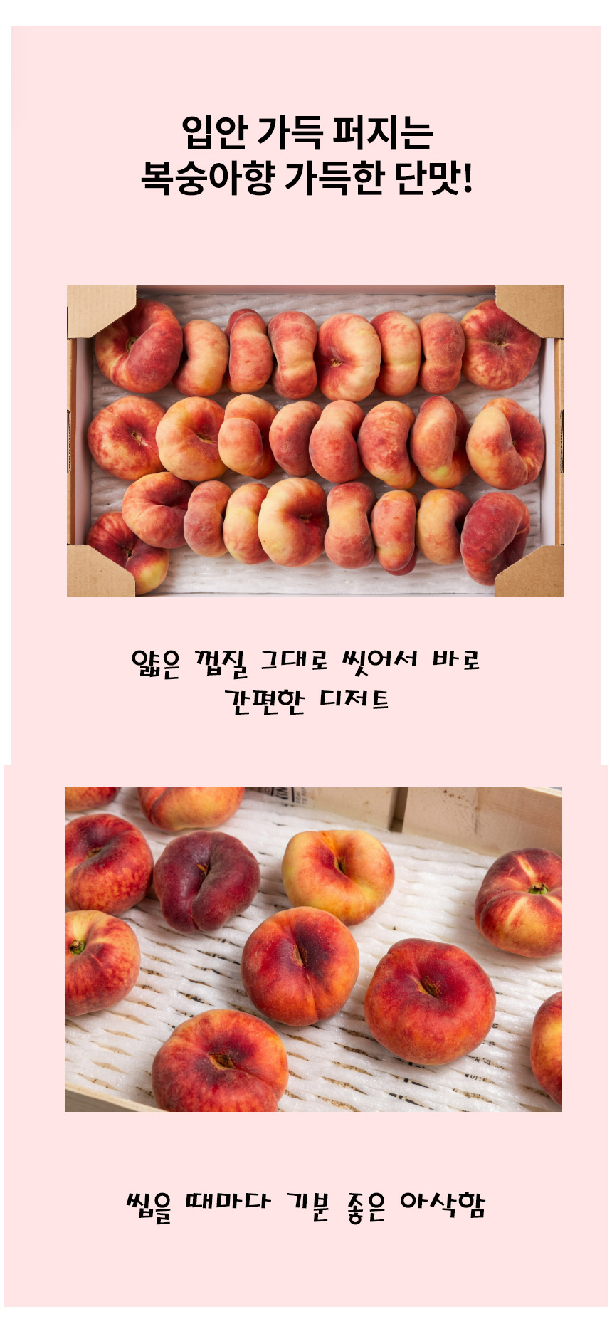 납작복숭아 상세06.jpg