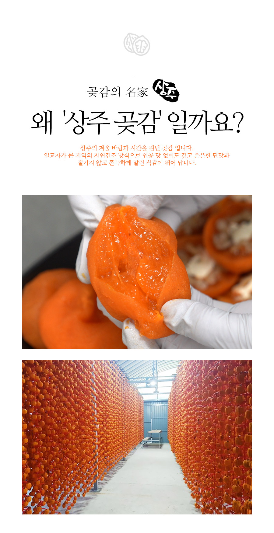 gotgamroll_no09_04.jpg