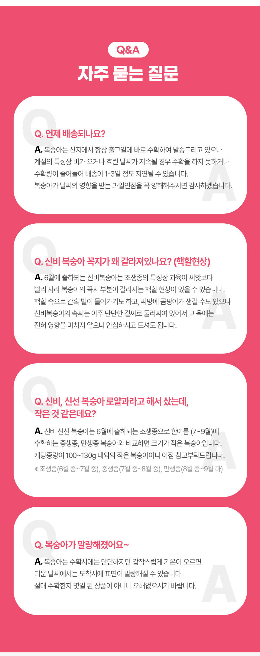 신선신비_상세07.jpg