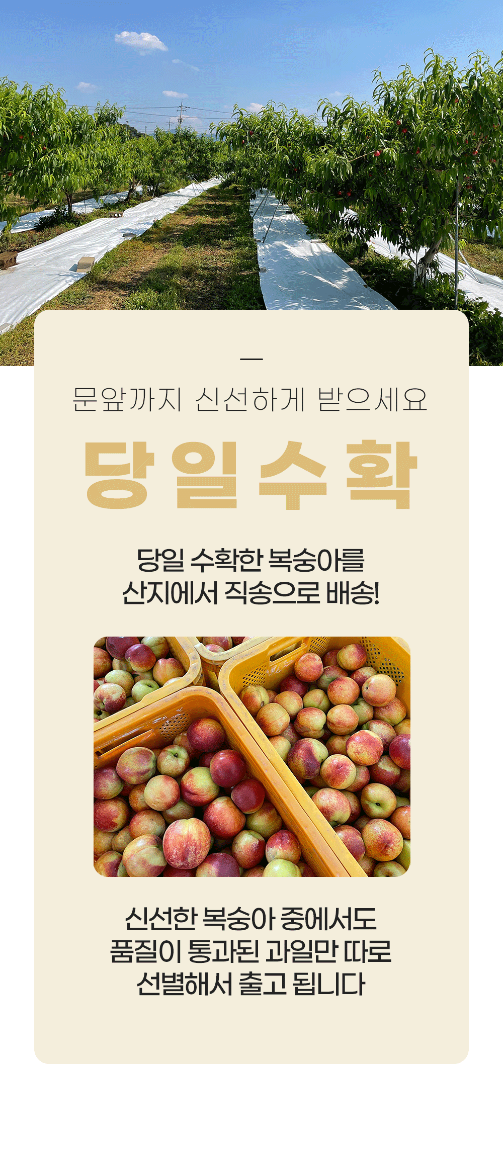 KakaoTalk_20260706_155948097_01.gif