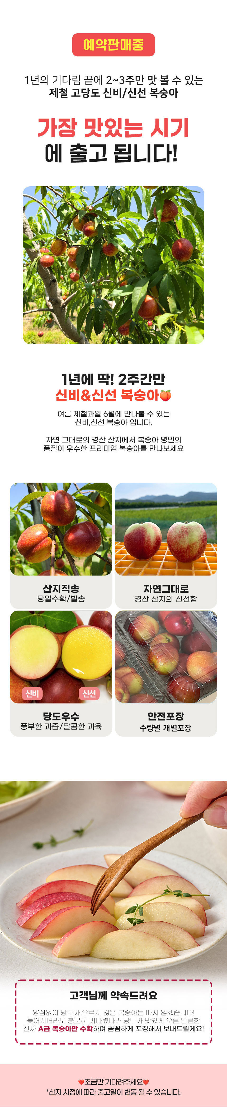 신선신비_상세03.jpg