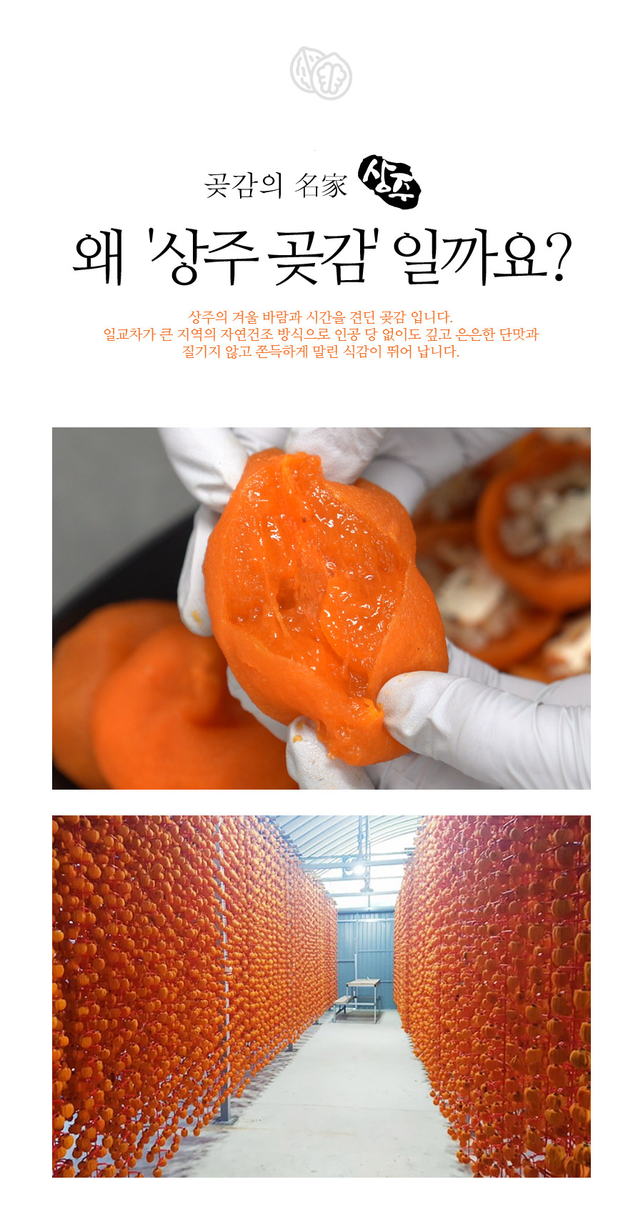 gotgamroll_no08_04.jpg