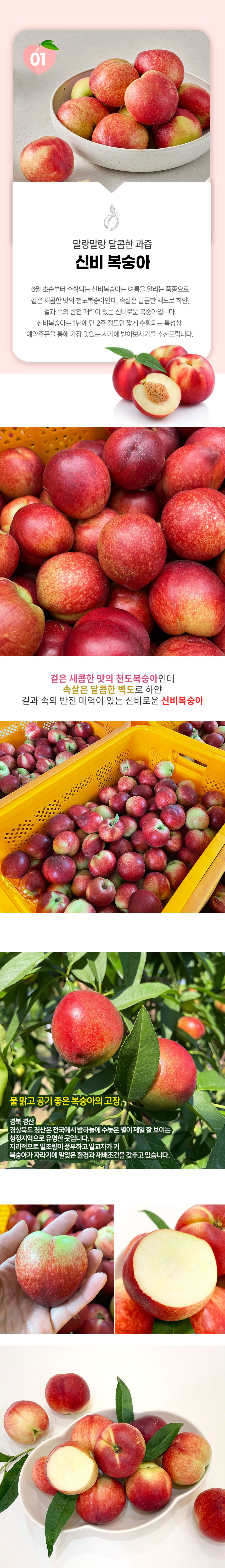 신선신비_상세04.jpg