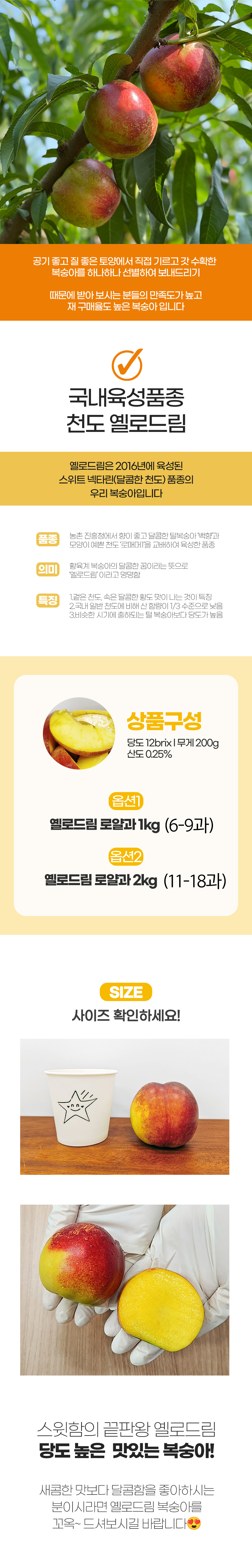 KakaoTalk_20260706_155948097_02.jpg