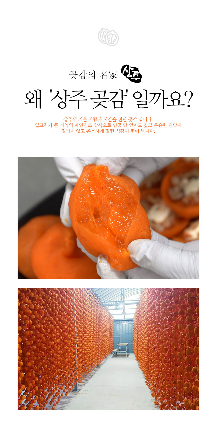 gotgamroll_no06_04.jpg