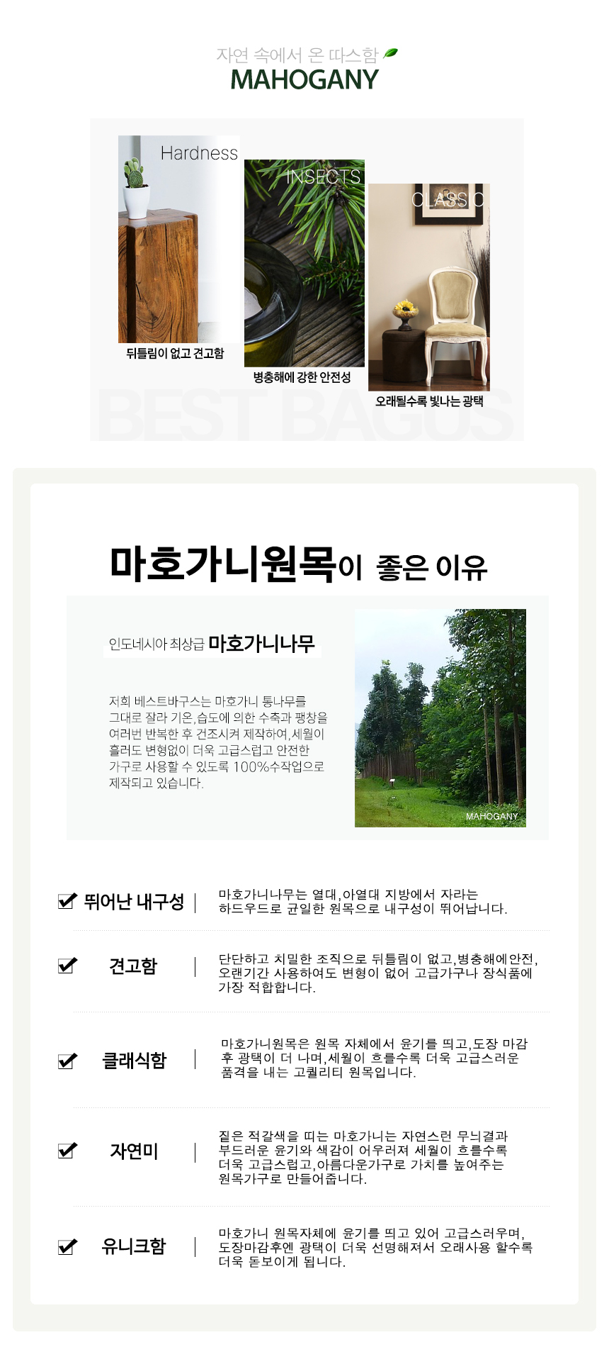 마호가니.jpg