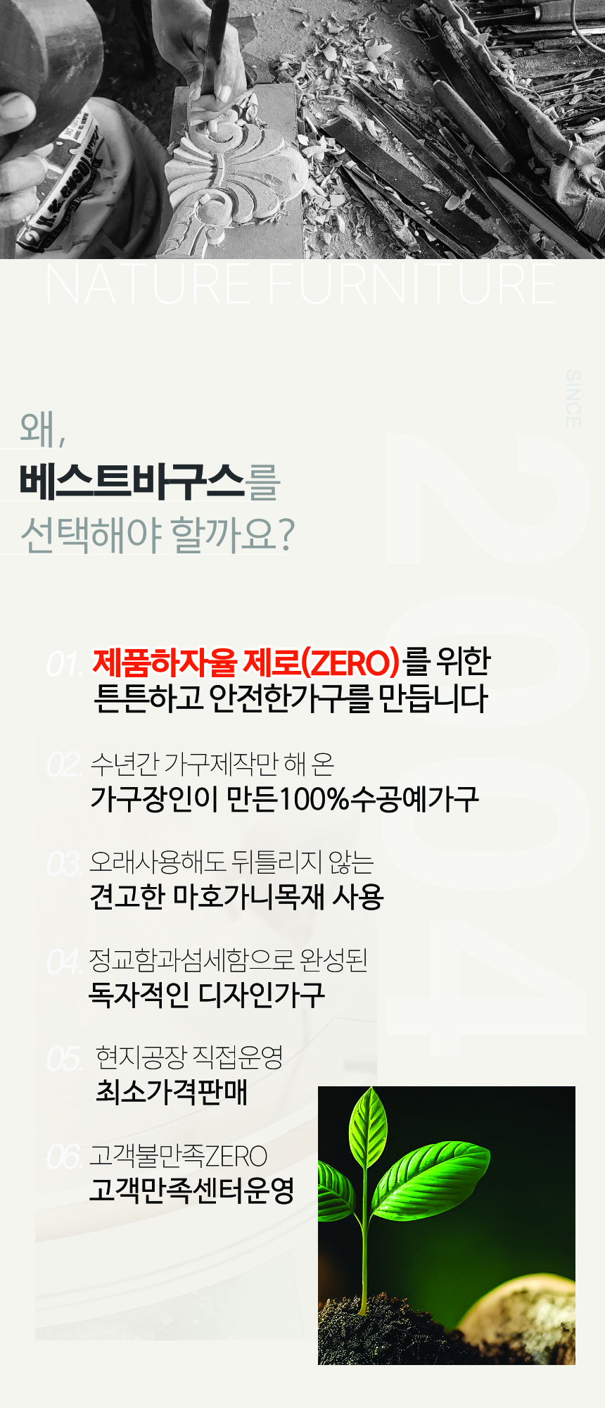 왜바구스.jpg