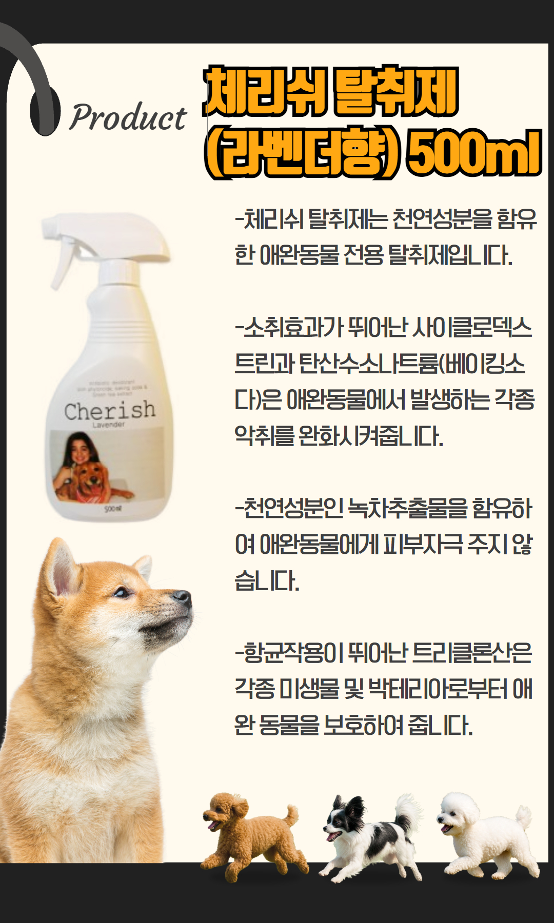 제목을 입력하세요 (4).jpg