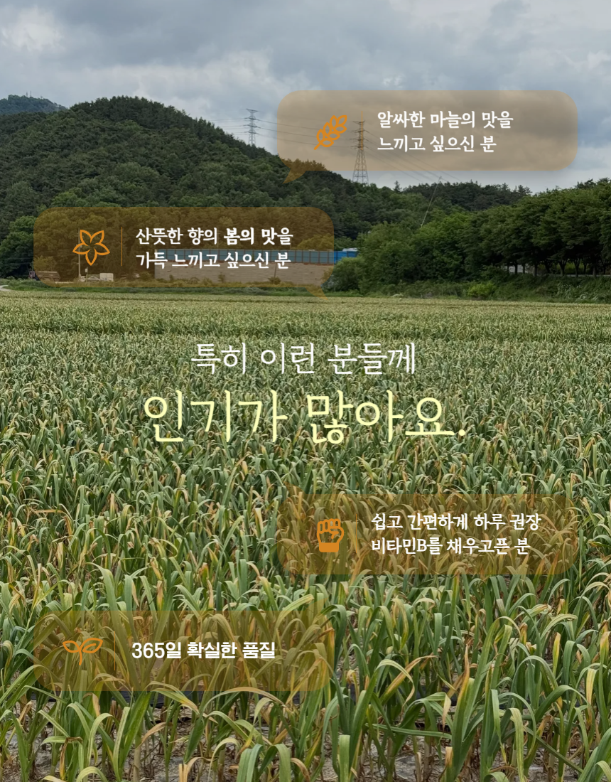 다진마늘_상세_04.png