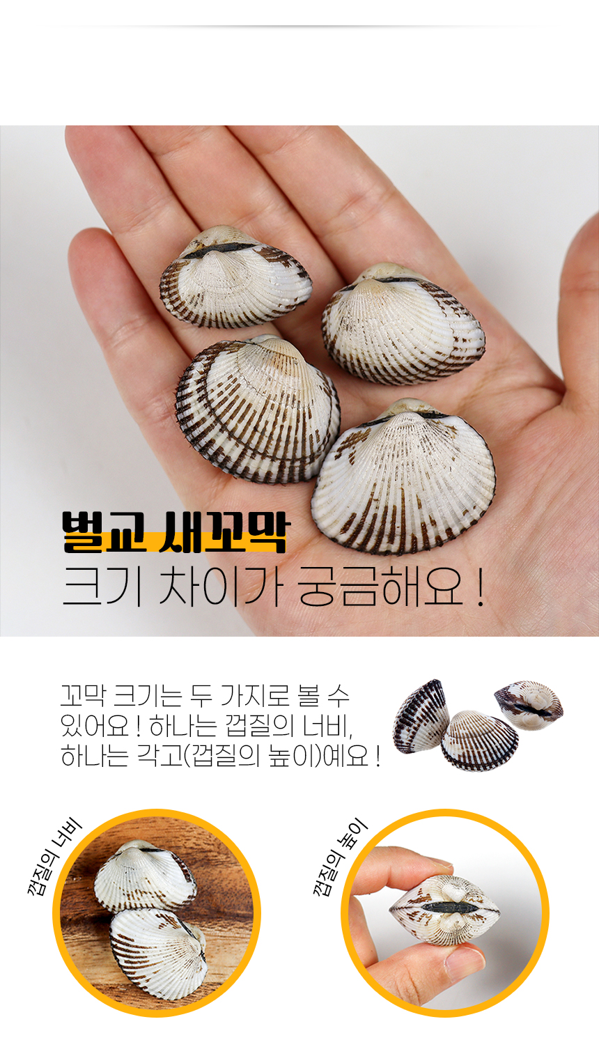 꼬막_상세_14.jpg