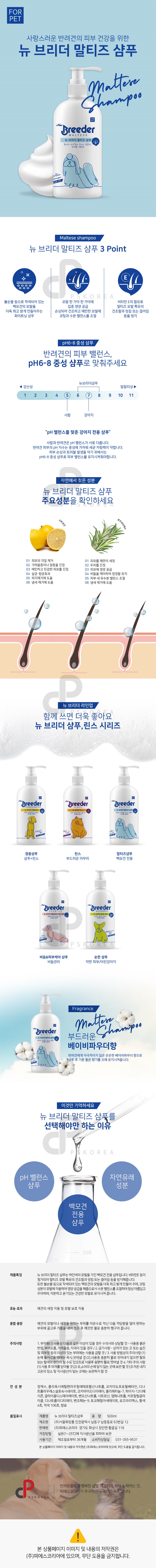 말티즈.jpg
