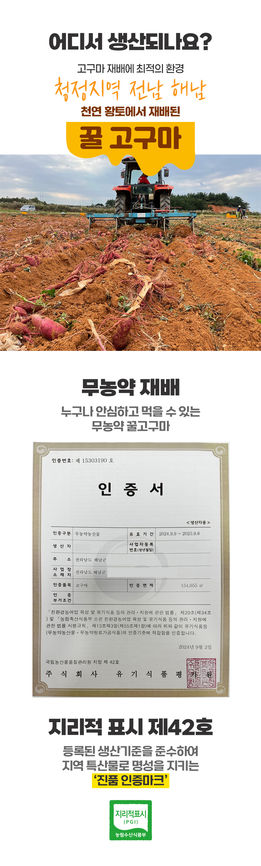 고구마_상세_05.jpg