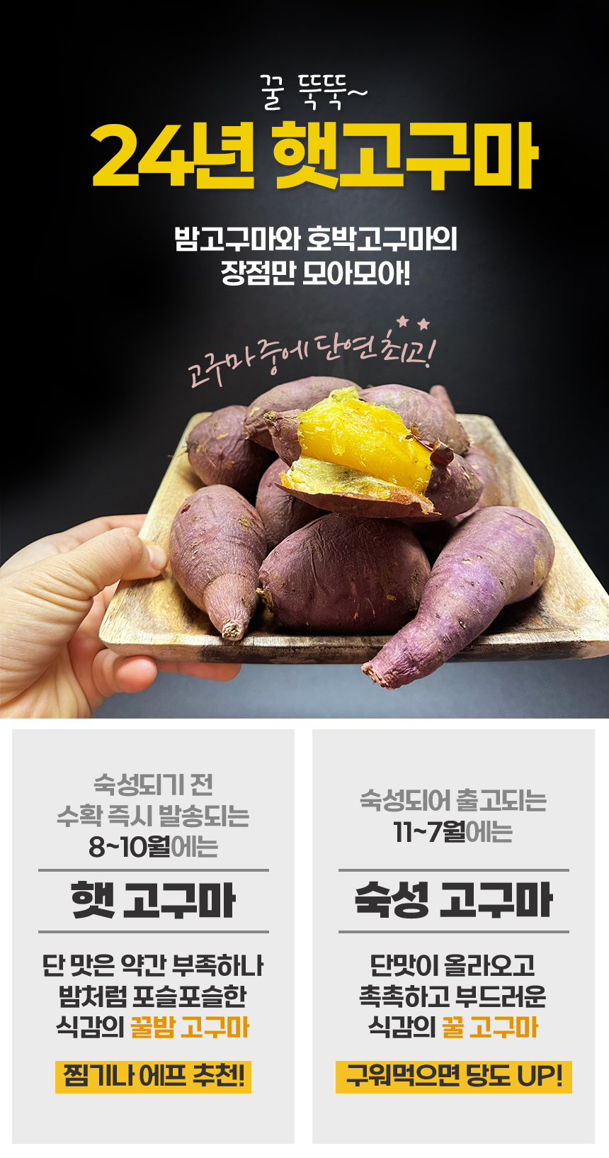 고구마_상세_01.jpg