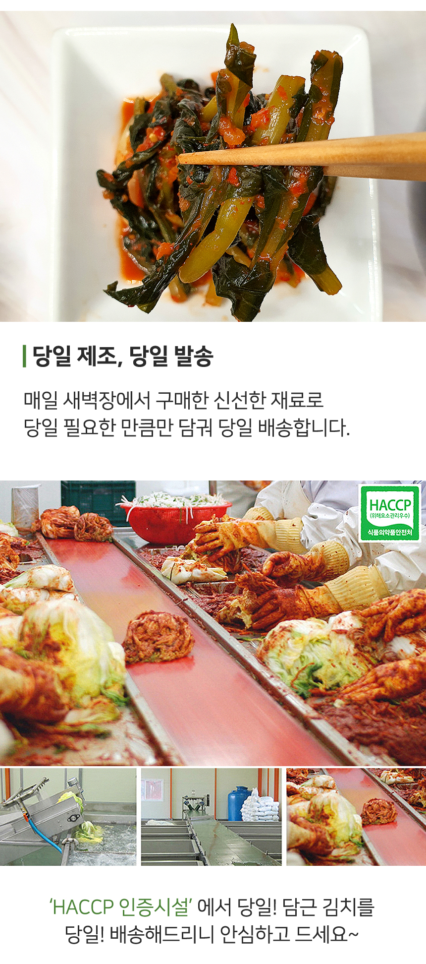 yeolmu_kimchi_04.jpg
