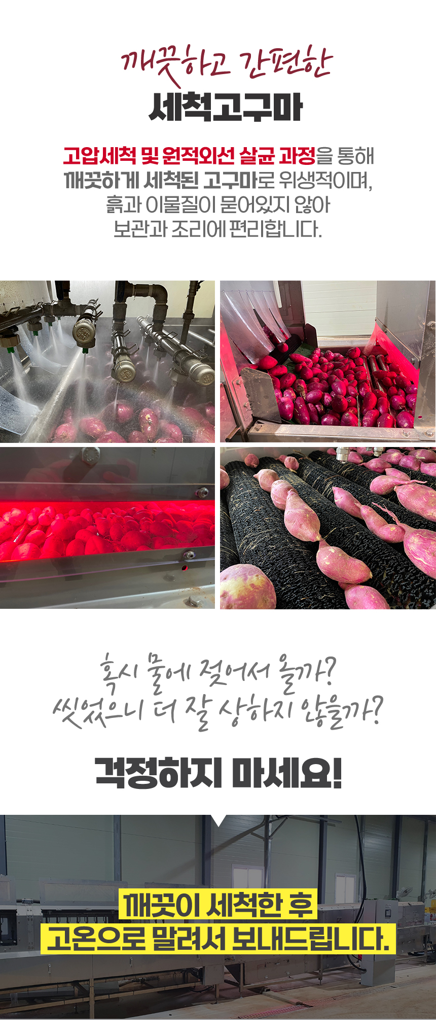 고구마_상세_07.jpg