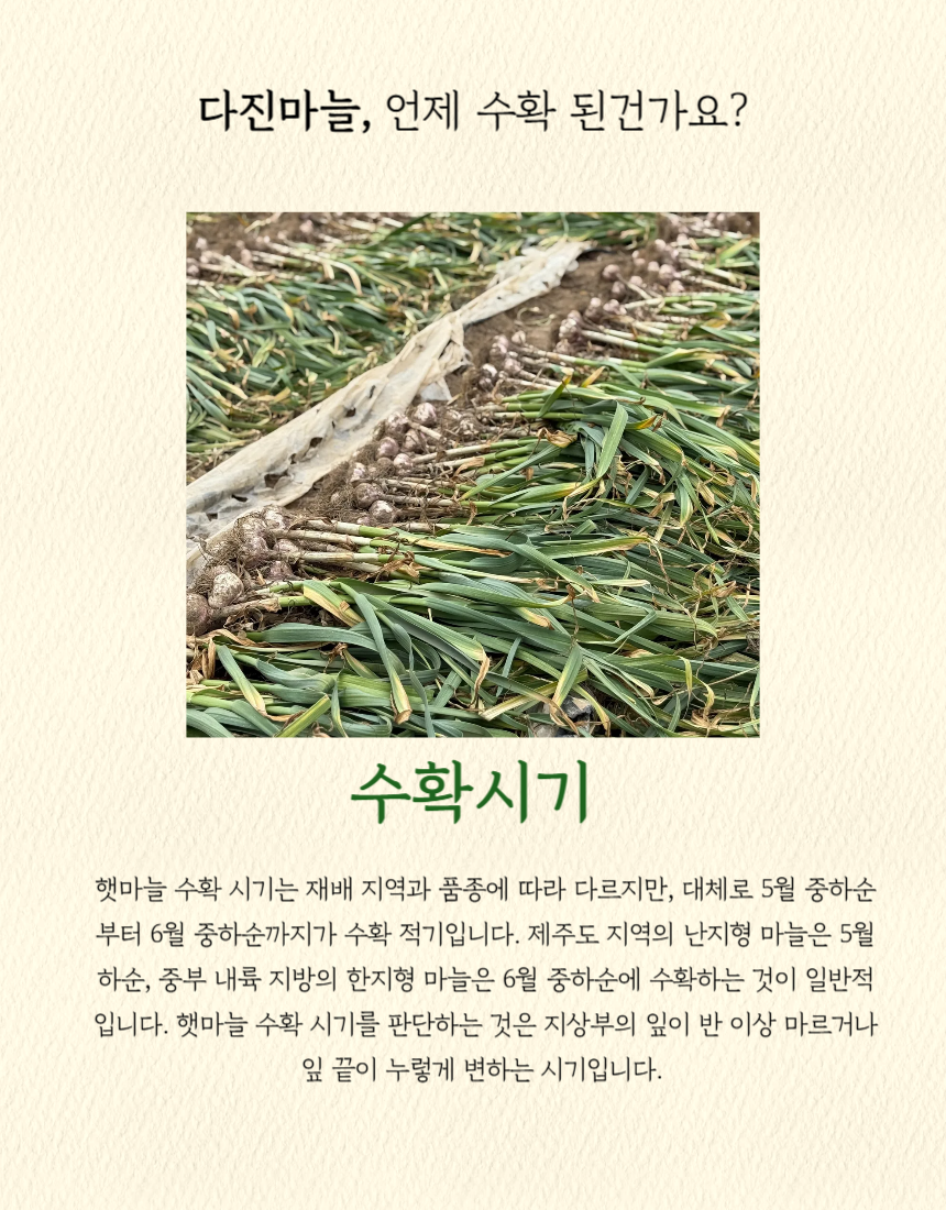 다진마늘_상세_02.png