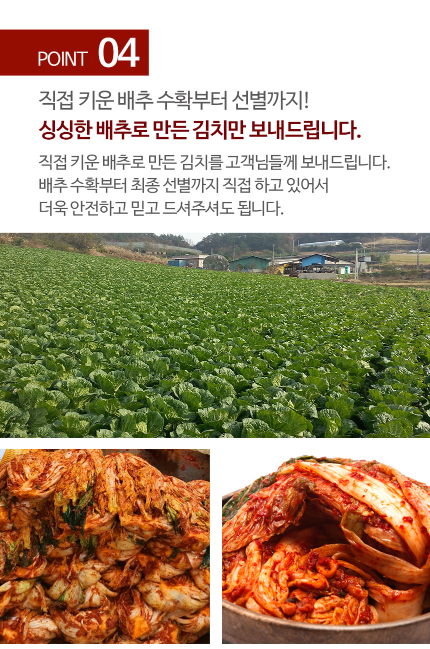 얼갈이김치_상세_05.jpg