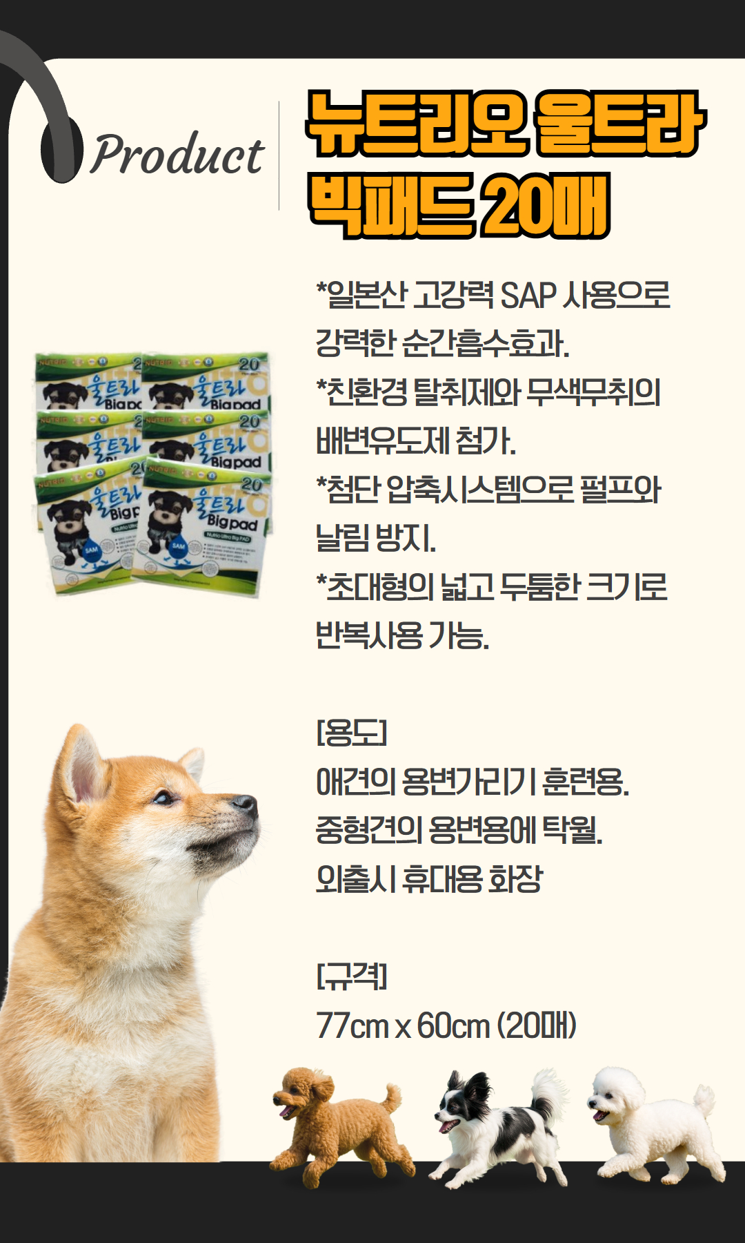제목을 입력하세요.jpg