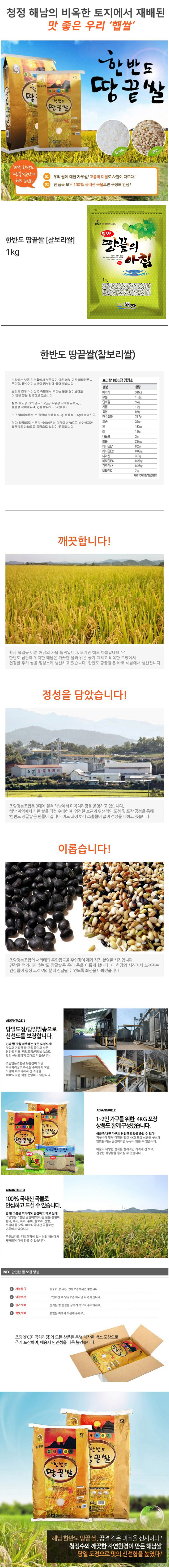 해남 찰보리.jpg