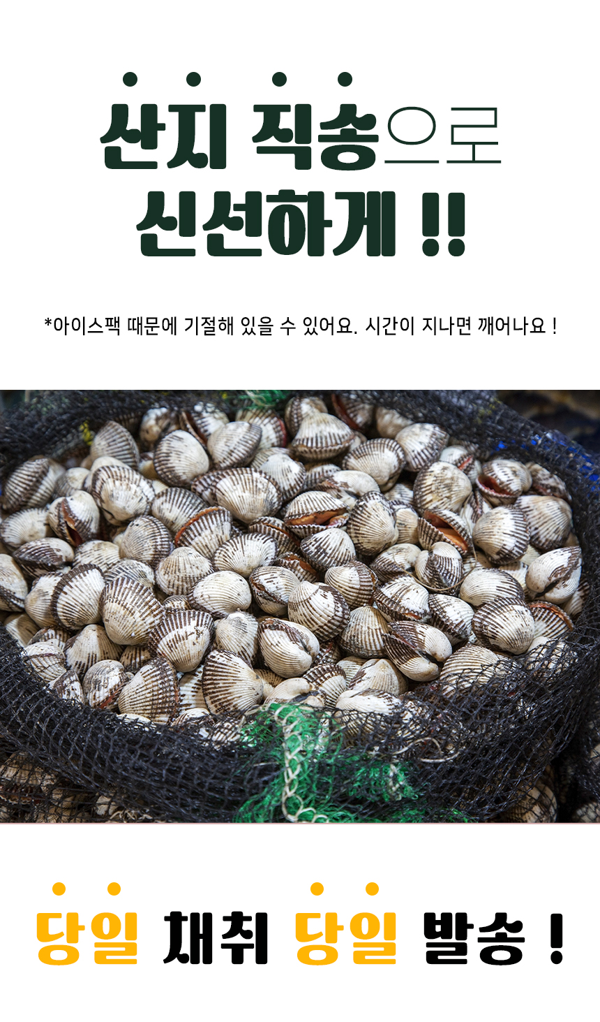 꼬막_상세_3.jpg