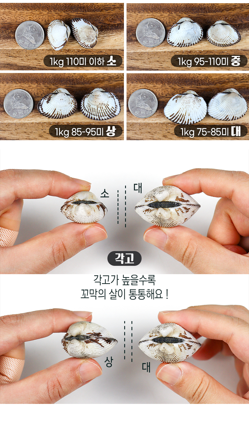꼬막_상세_15.jpg