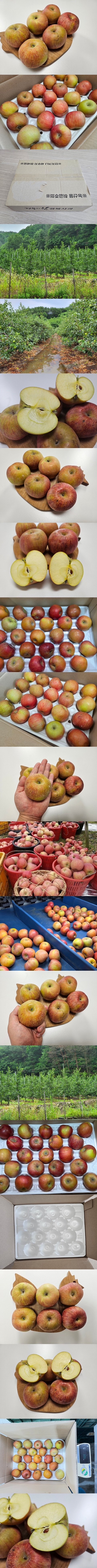 상세.jpg