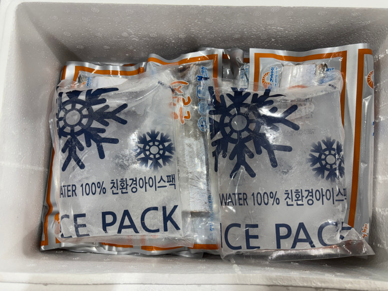 1008.jpg