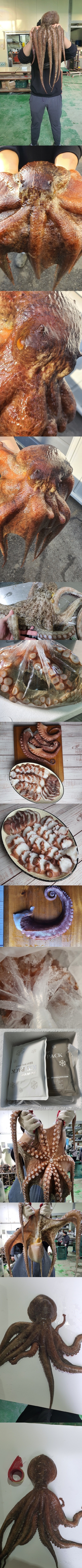 상세.jpg