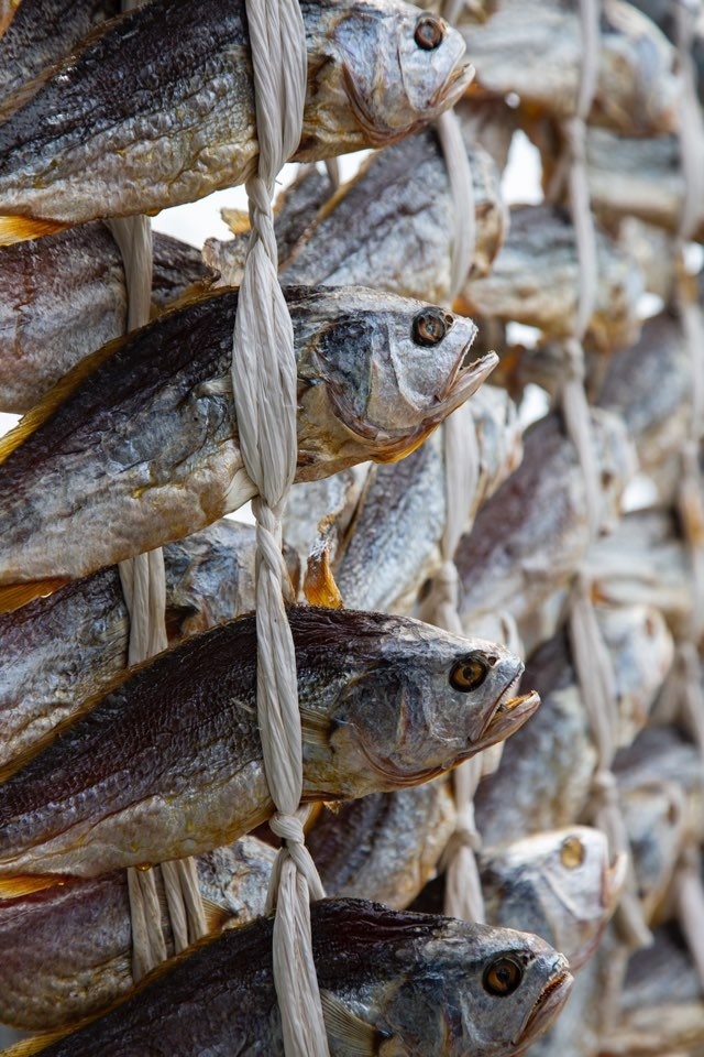 49ba99d93e6f2cd5b337b024be6a09d9.jpg