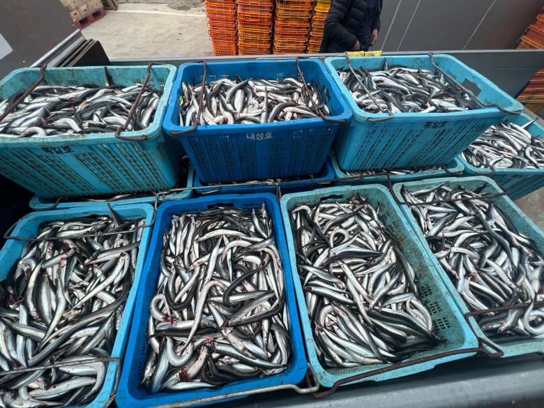 KakaoTalk_20250113_174544967.jpg