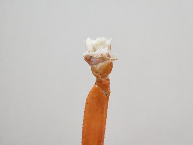 1069.jpg
