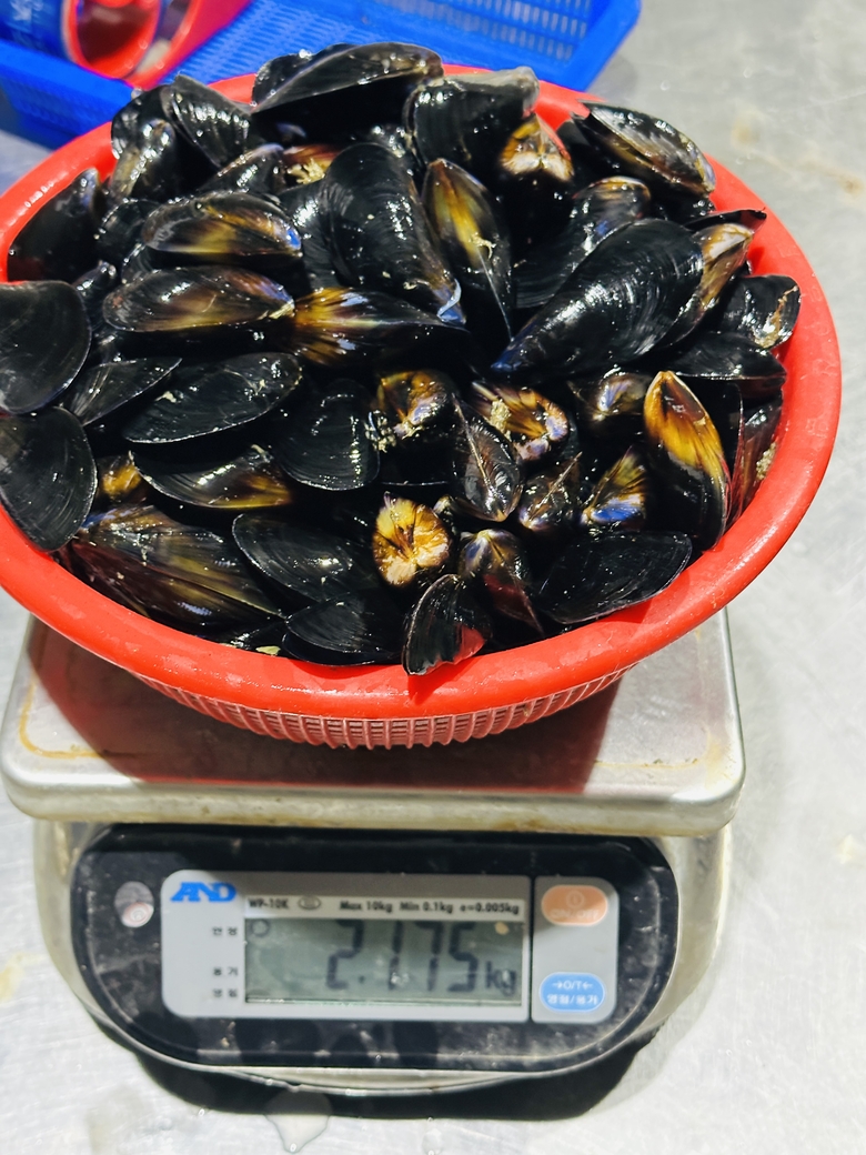 KakaoTalk_20250218_081904914_07.jpg