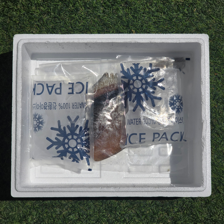 6ee1daaa99db5319fe4b3227ec70d170.jpg