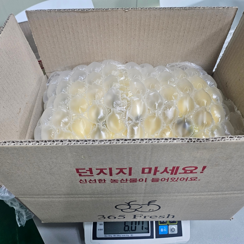 6kg.jpg