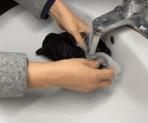4.gif