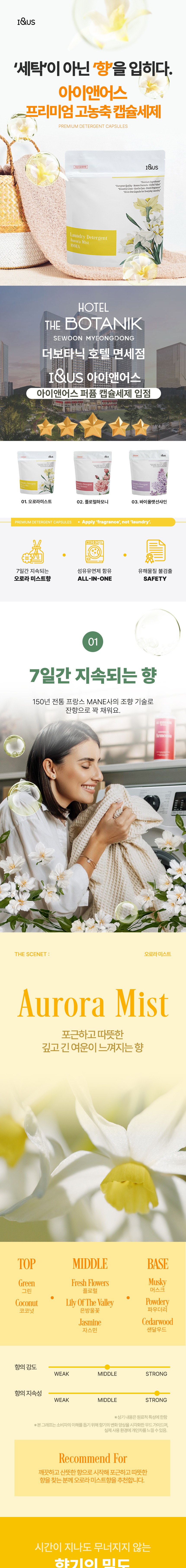 오로라미스트1.jpg