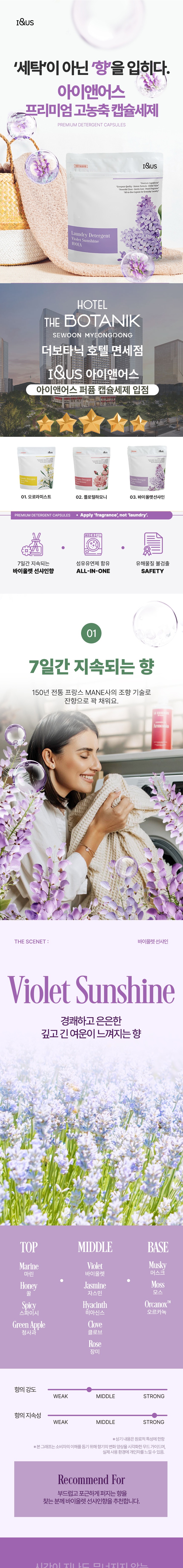 바이올렛샤인1.jpg