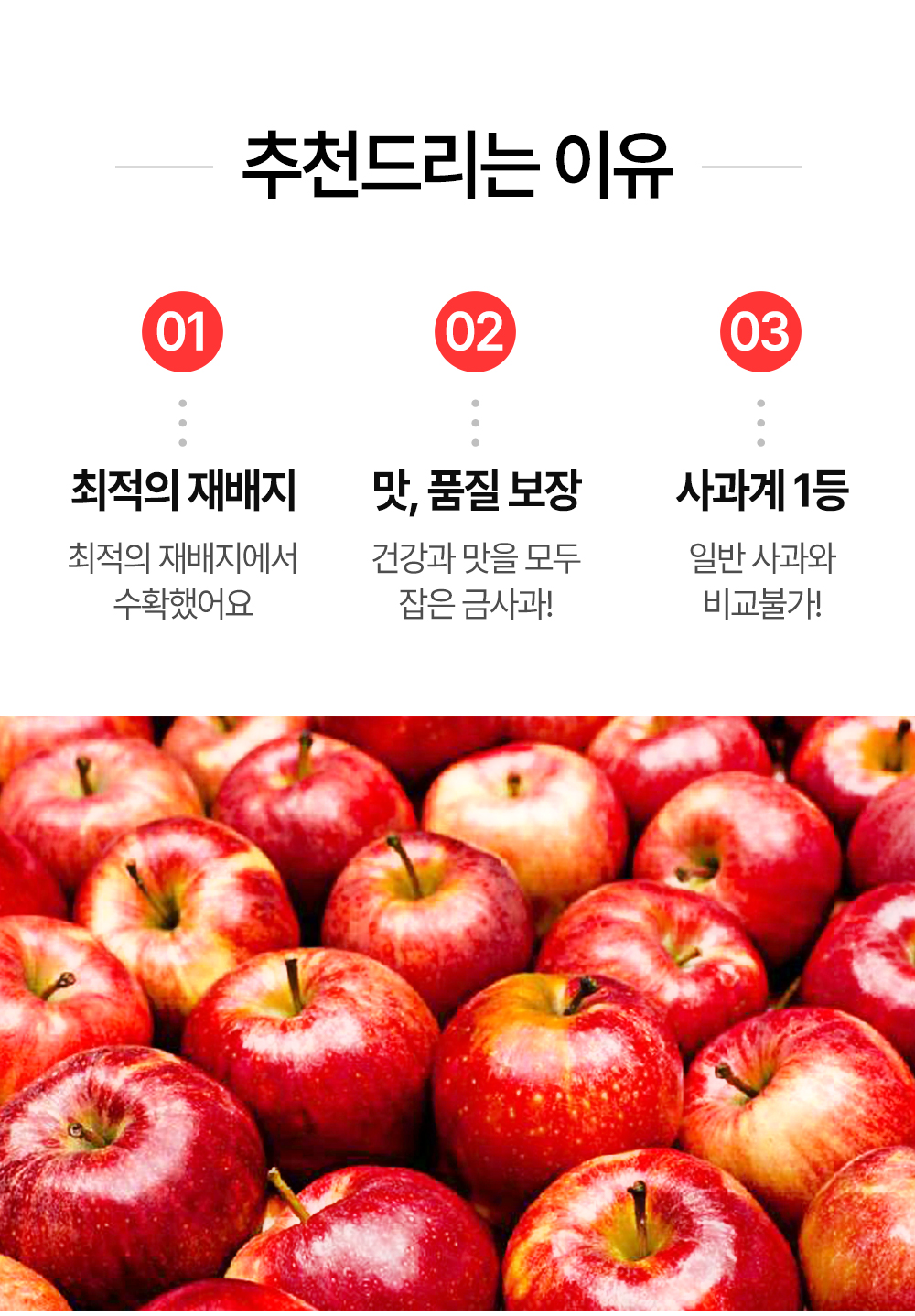 홍로사과 (3).jpg