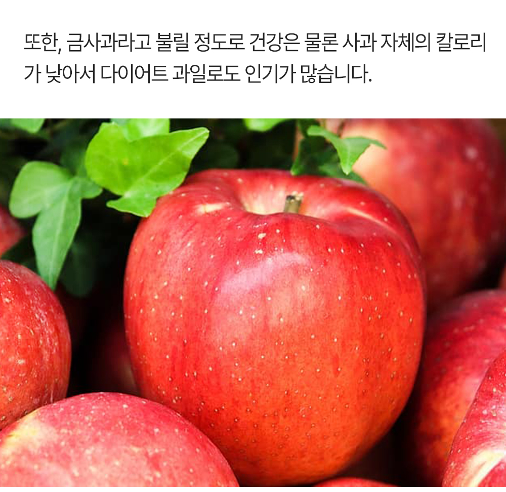 홍로사과 (6).jpg