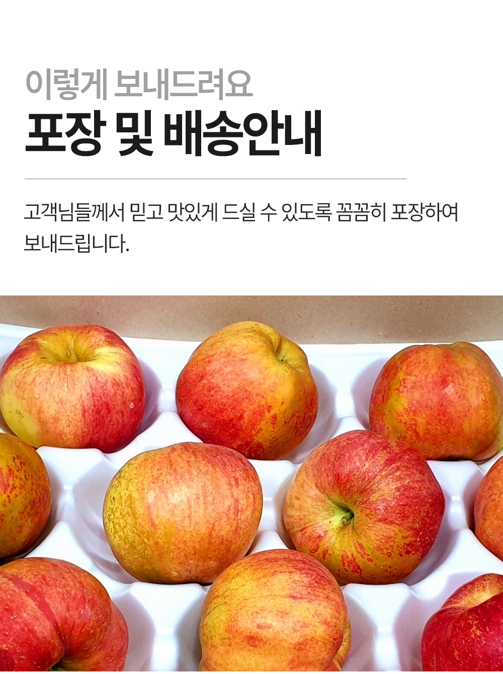 홍로사과 (10).jpg