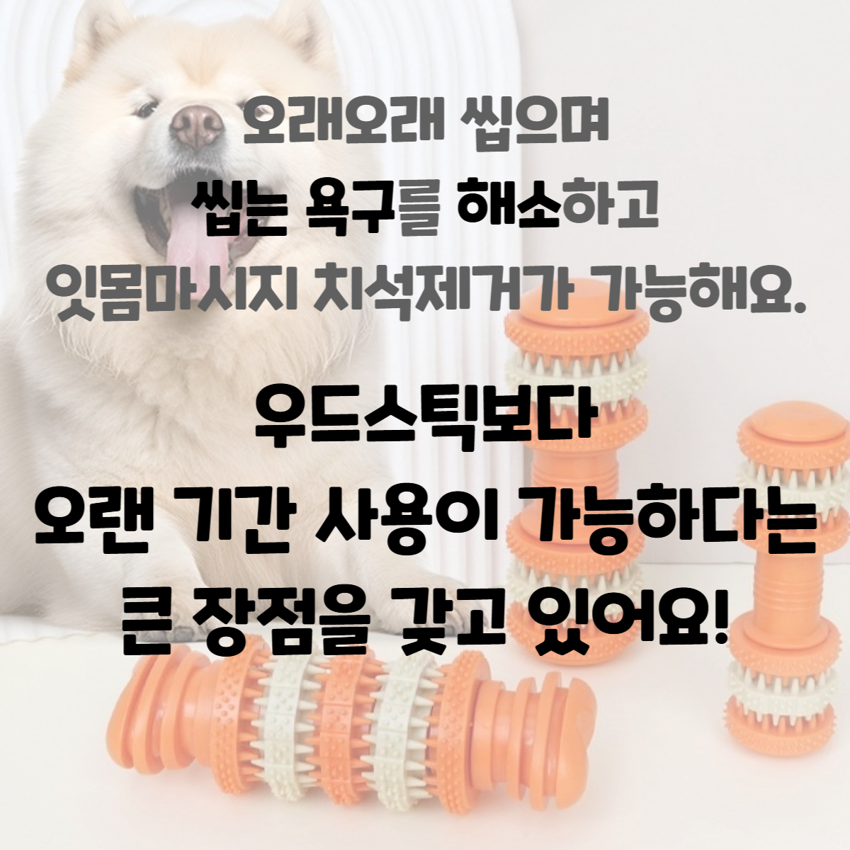 9_1785485799947.png